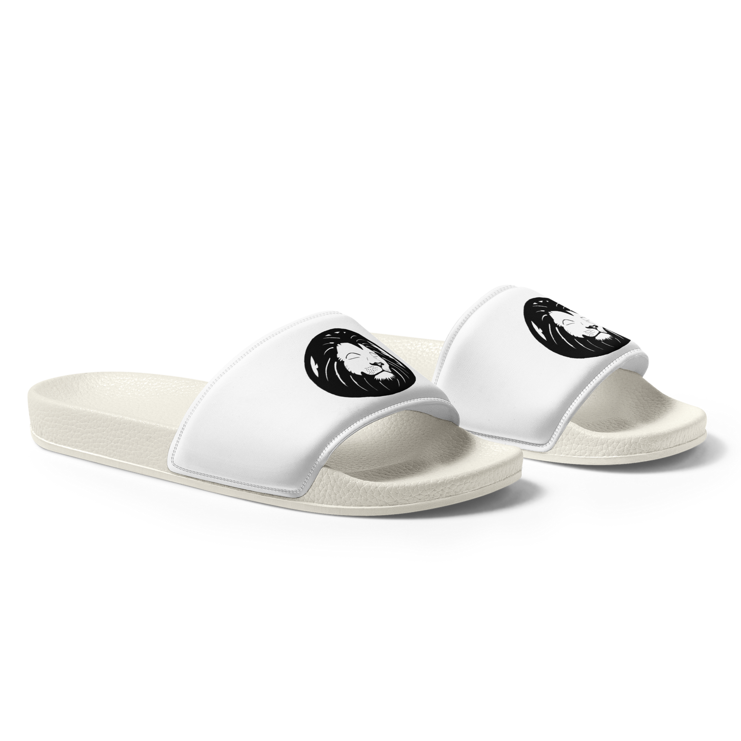 Lion Slides
