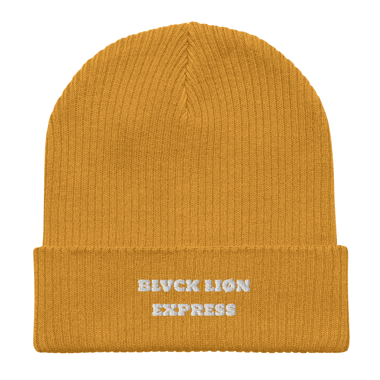 Ribbed Beanie - BlvckLionExpress