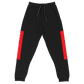 Raglan SweatPants - BlvckLionExpress