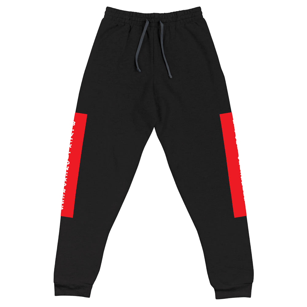 Raglan SweatPants - BlvckLionExpress