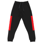 Load image into Gallery viewer, Raglan SweatPants - BlvckLionExpress
