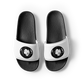 Lion  Slides