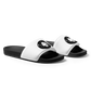 Lion  Slides
