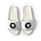 Lion  Slides