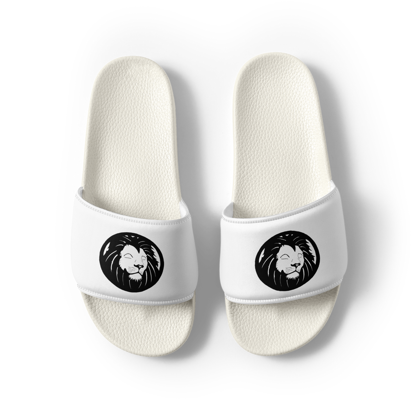 Lion  Slides