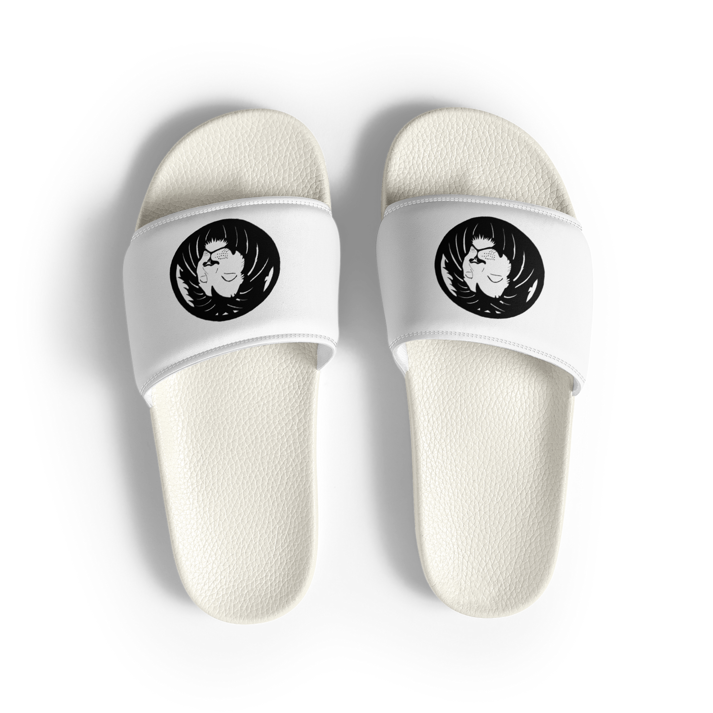 Lion  Slides
