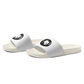 Lion  Slides