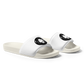 Lion  Slides