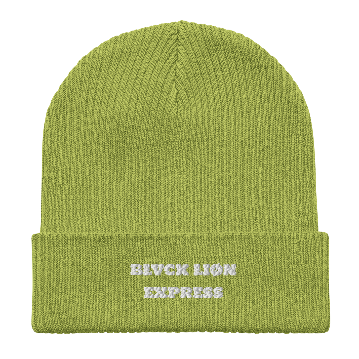 Ribbed Beanie - BlvckLionExpress