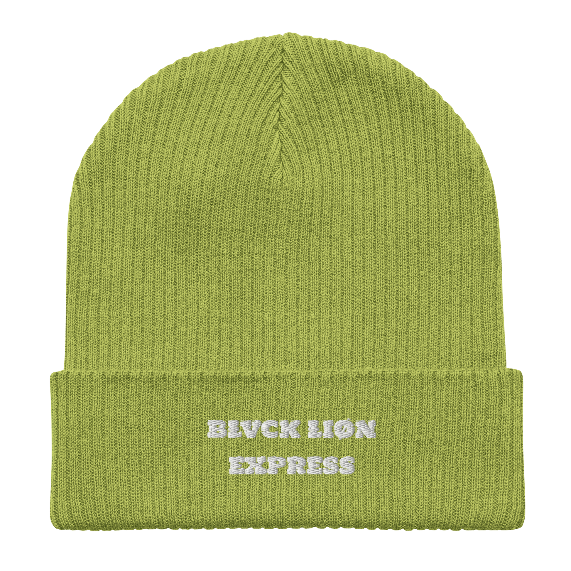 Ribbed Beanie - BlvckLionExpress