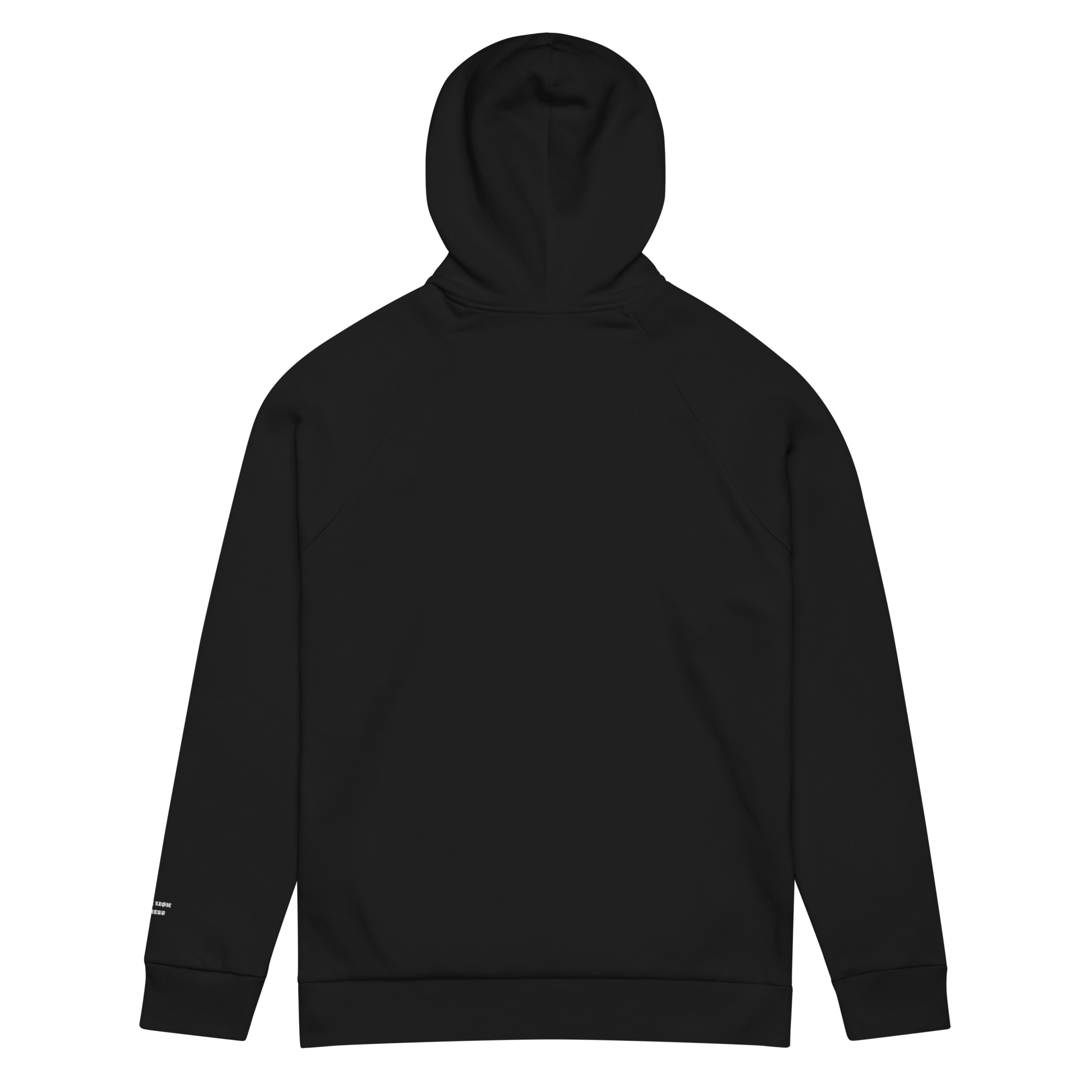 Blvck Lion Express X Under Armour® Hoodie