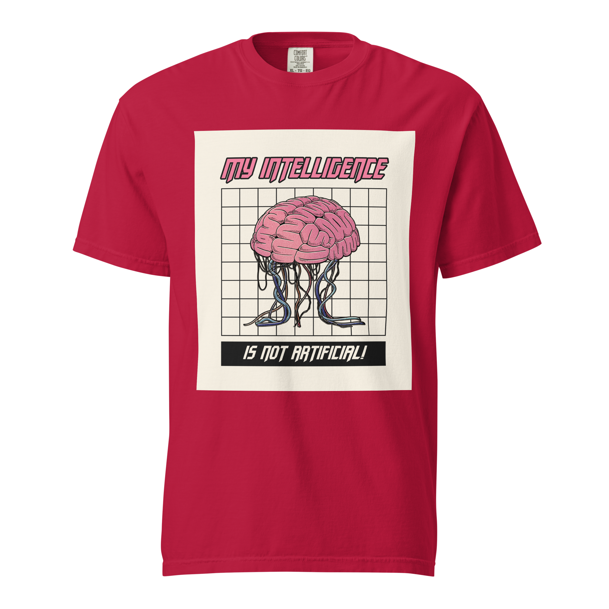 My Intelligence Is Not Artificial T-Shirt