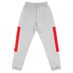 Raglan SweatPants - BlvckLionExpress