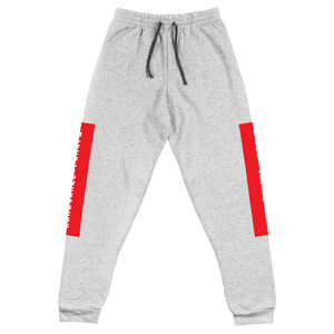 Raglan SweatPants - BlvckLionExpress