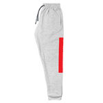 Load image into Gallery viewer, Raglan SweatPants - BlvckLionExpress
