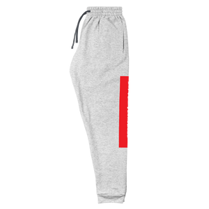 Raglan SweatPants - BlvckLionExpress