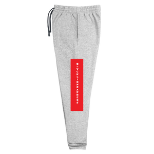 Raglan SweatPants - BlvckLionExpress