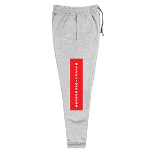 Raglan SweatPants - BlvckLionExpress