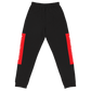Raglan SweatPants - BlvckLionExpress