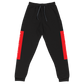 Raglan SweatPants - BlvckLionExpress