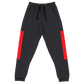 Raglan SweatPants - BlvckLionExpress