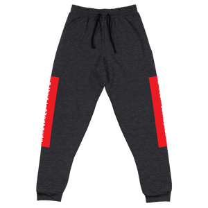 Raglan SweatPants - BlvckLionExpress