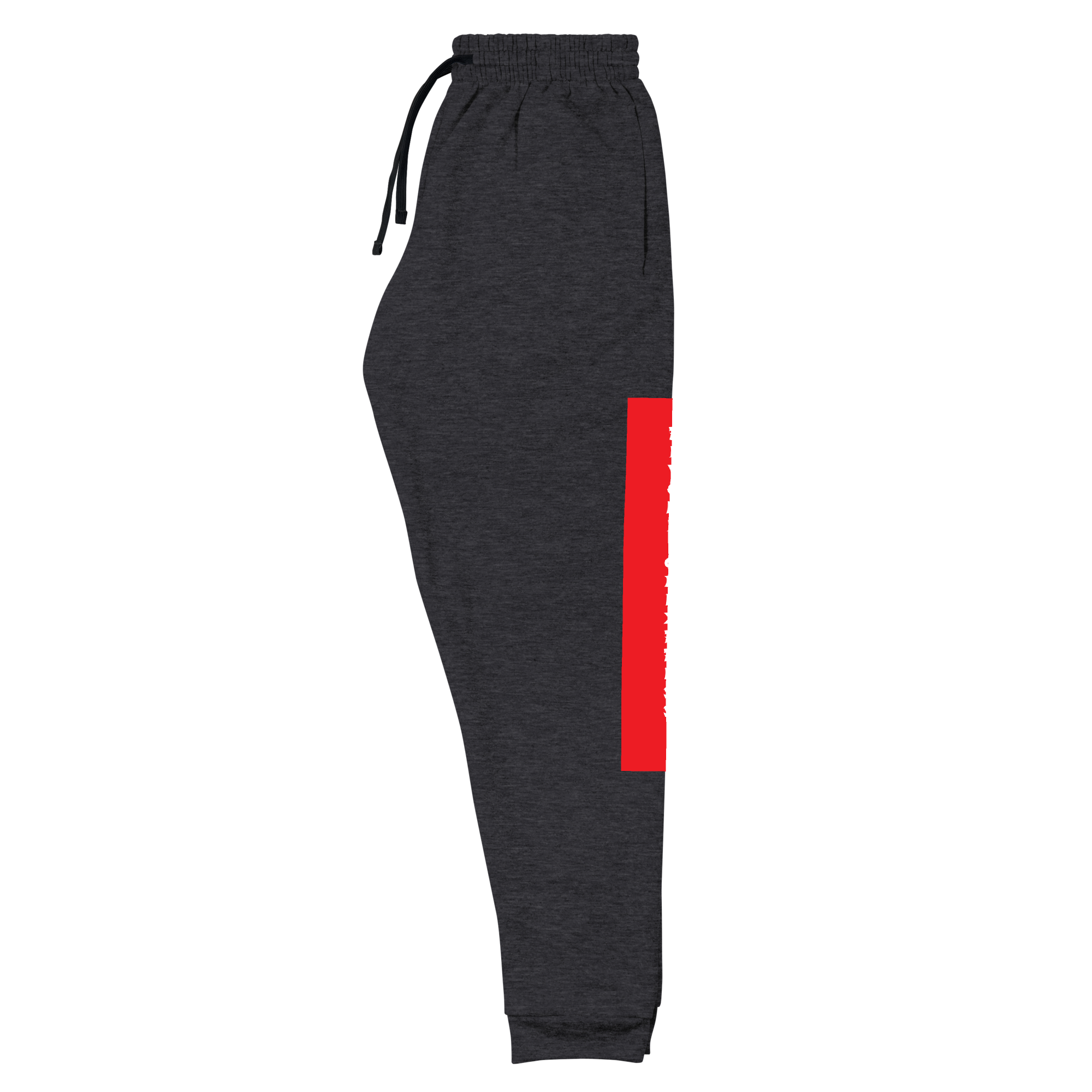 Raglan SweatPants - BlvckLionExpress