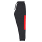 Raglan SweatPants - BlvckLionExpress
