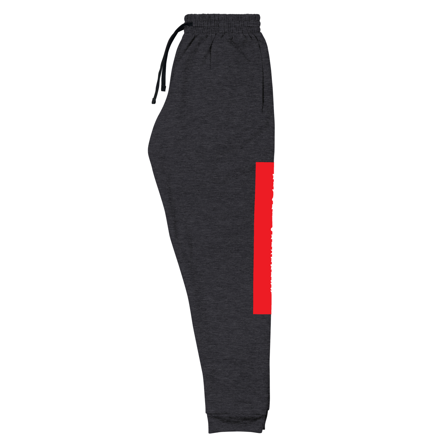 Raglan SweatPants - BlvckLionExpress
