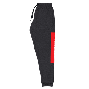 Raglan SweatPants - BlvckLionExpress