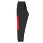 Raglan SweatPants - BlvckLionExpress