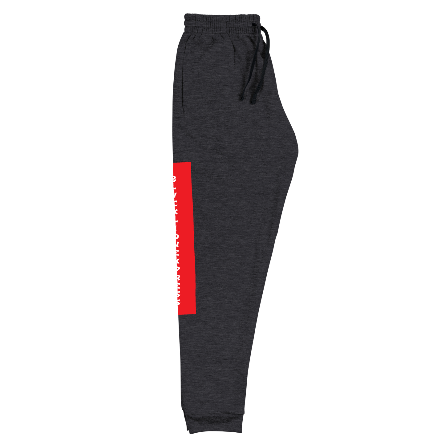 Raglan SweatPants - BlvckLionExpress