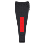 Load image into Gallery viewer, Raglan SweatPants - BlvckLionExpress
