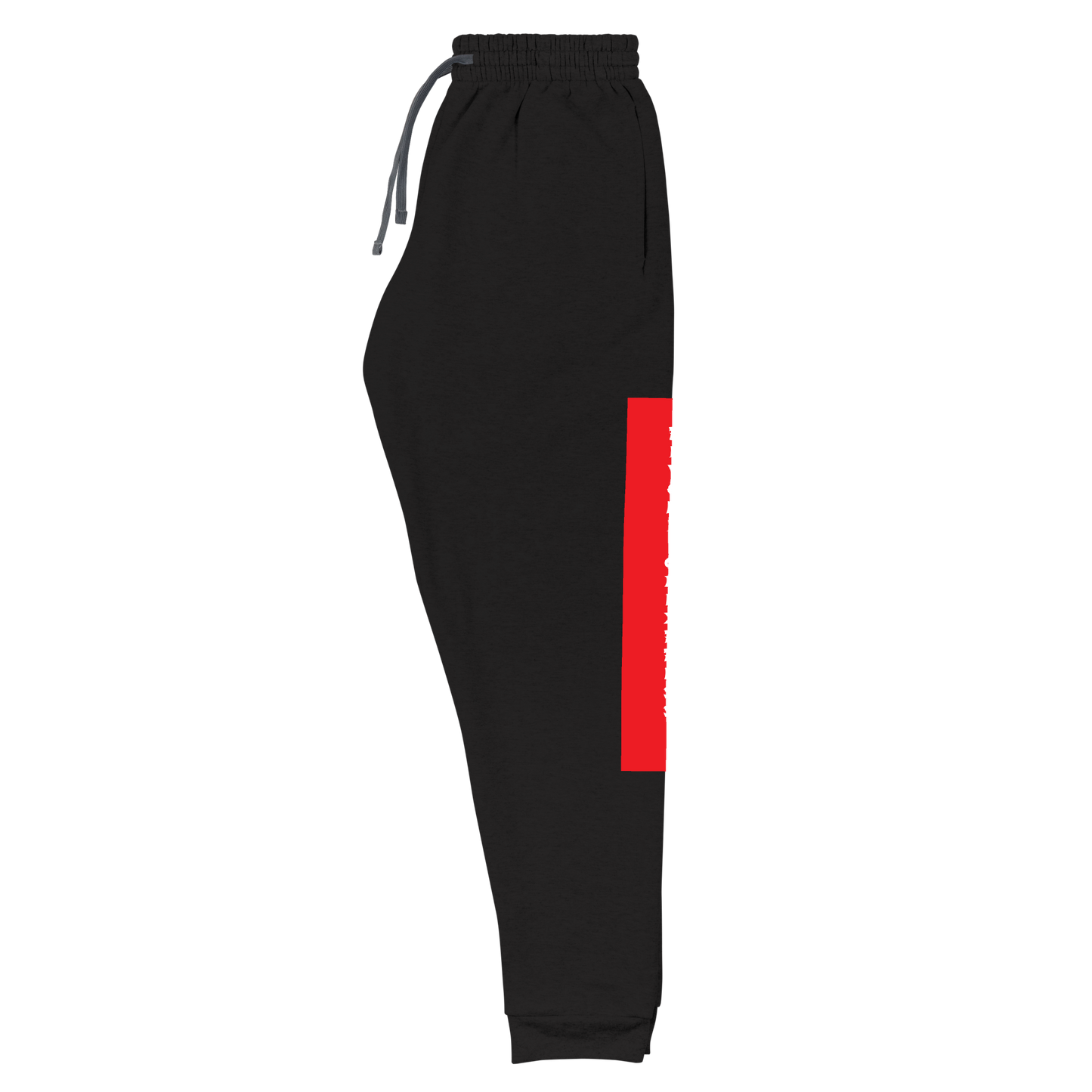 Raglan SweatPants - BlvckLionExpress