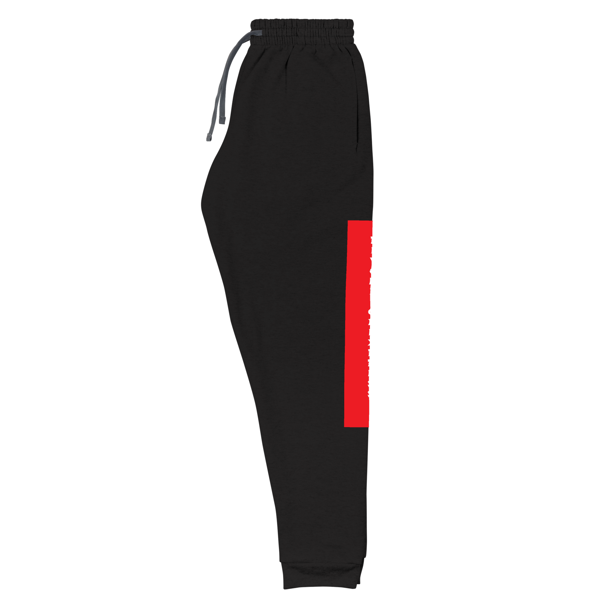 Raglan SweatPants - BlvckLionExpress