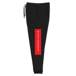 Load image into Gallery viewer, Raglan SweatPants - BlvckLionExpress
