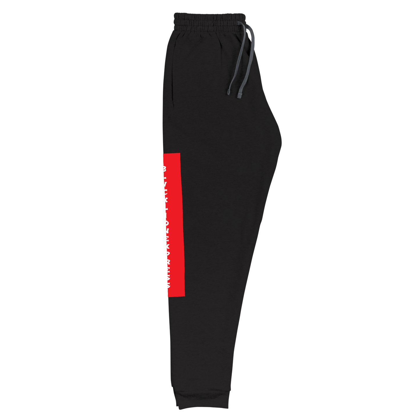 Raglan SweatPants - BlvckLionExpress