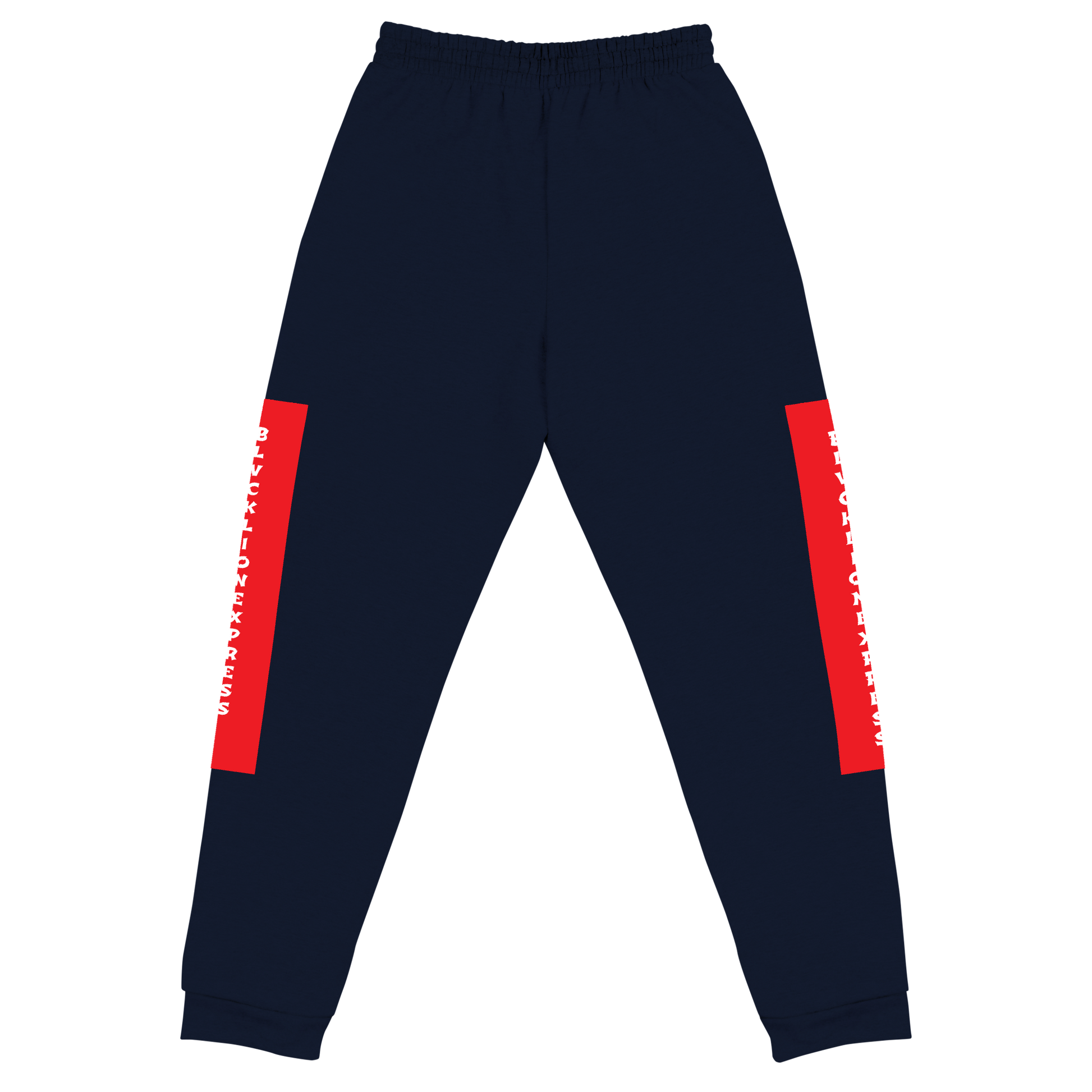 Raglan SweatPants - BlvckLionExpress