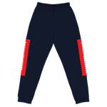 Load image into Gallery viewer, Raglan SweatPants - BlvckLionExpress
