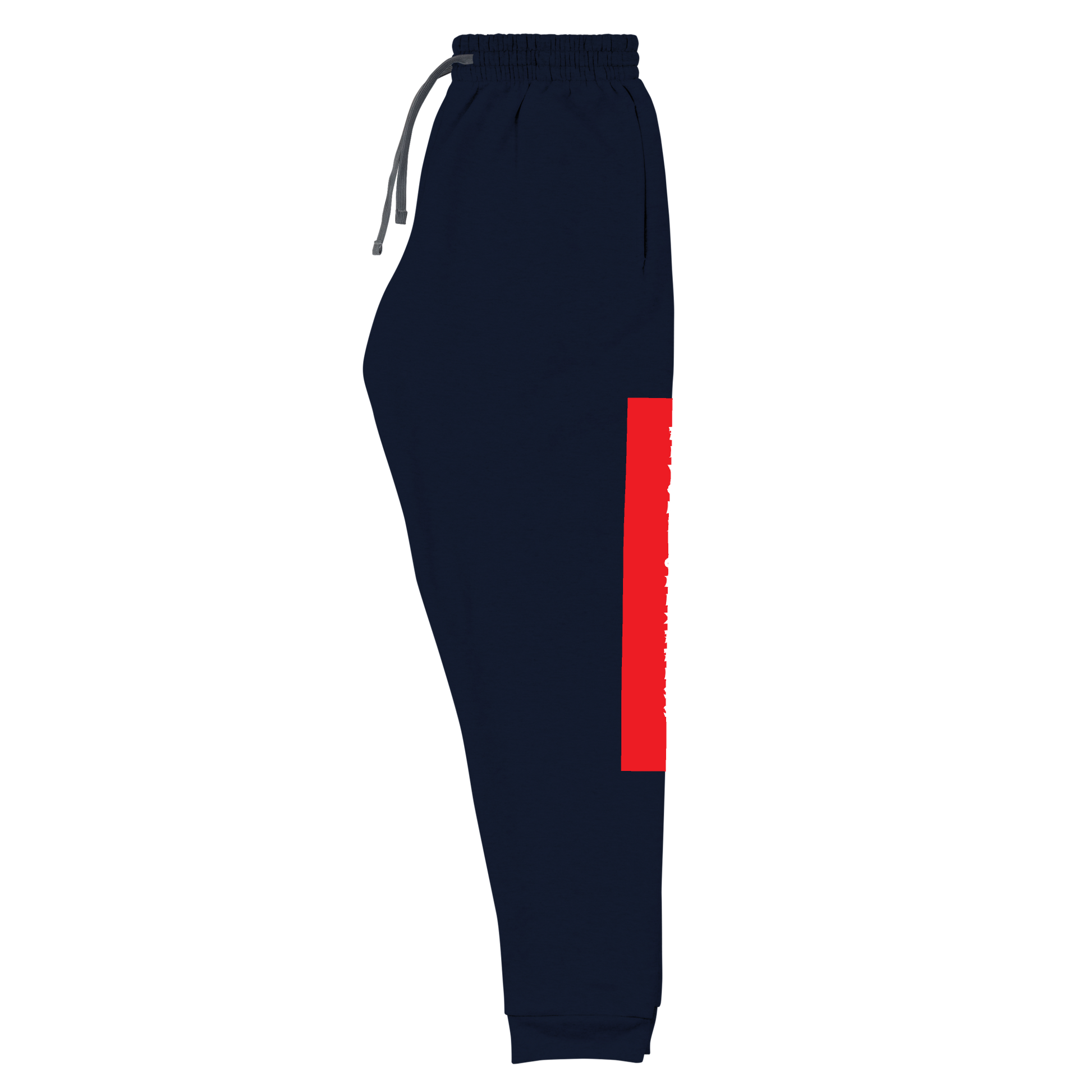 Raglan SweatPants - BlvckLionExpress