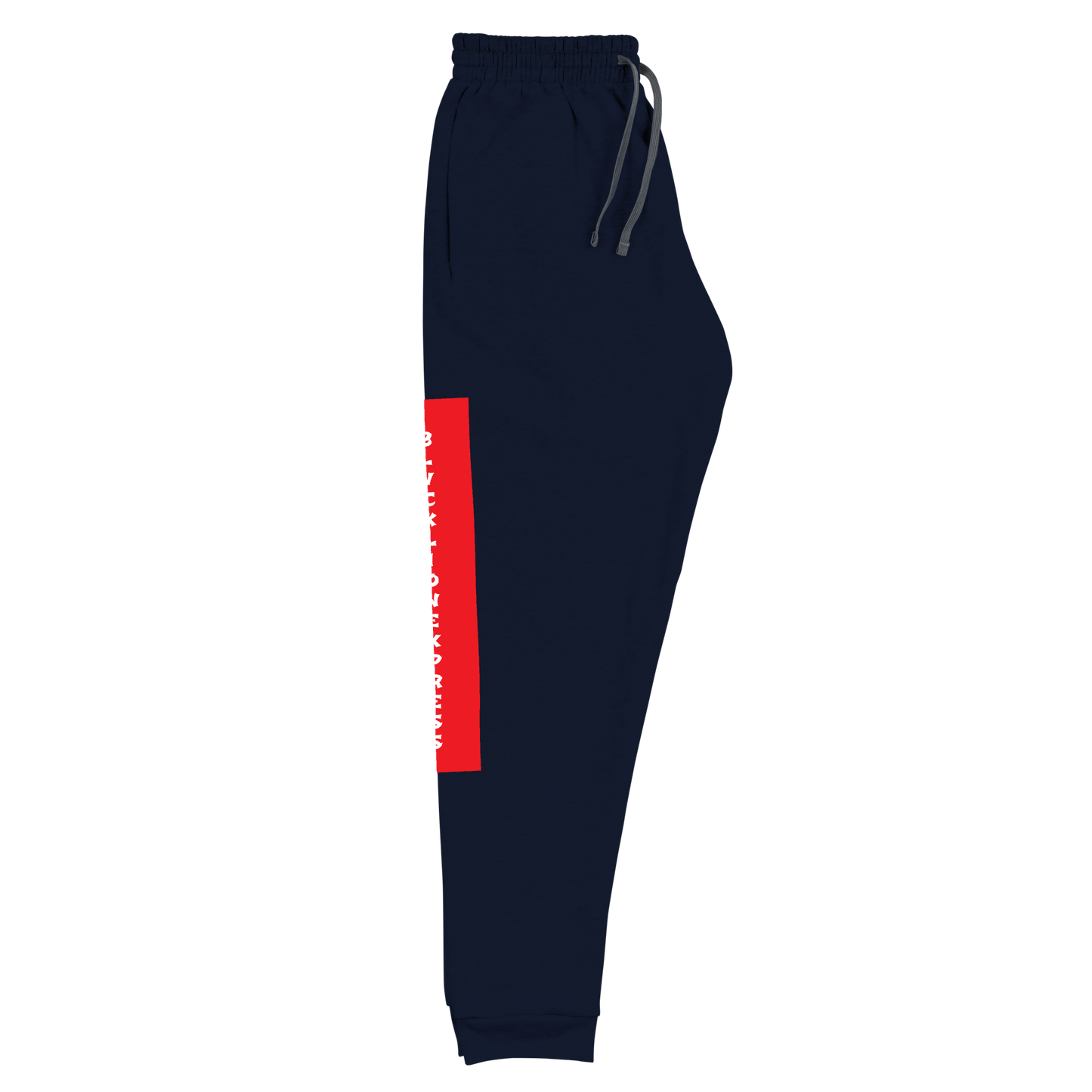Raglan SweatPants - BlvckLionExpress