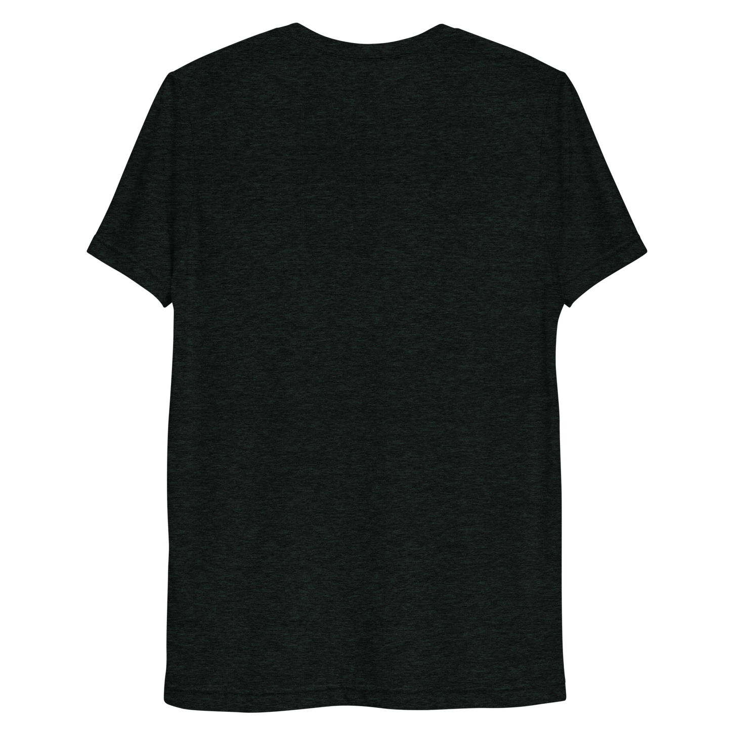 Queen Lion Tri-Blend T-Shirt - BlvckLionExpress