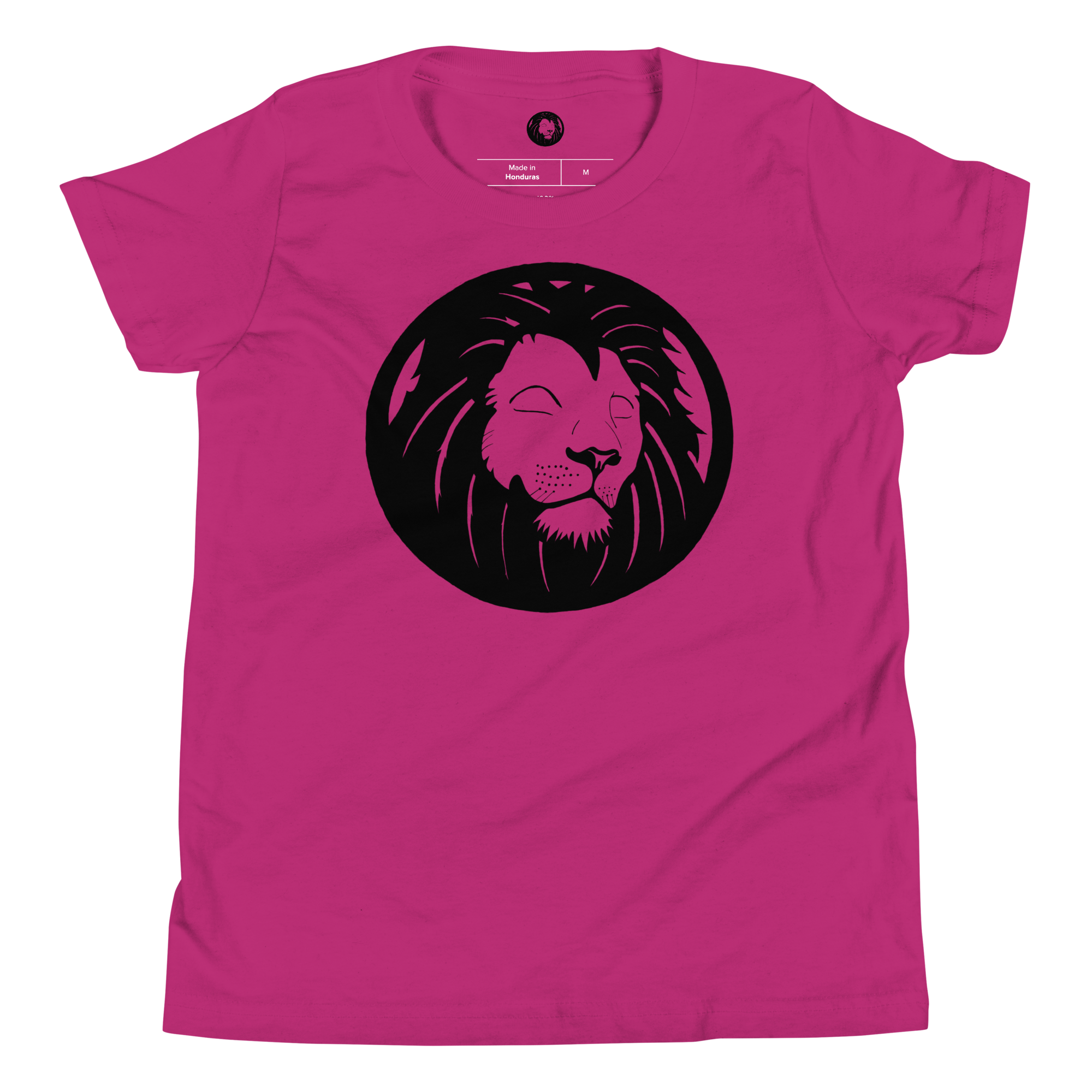 Classic Logo Youth T-Shirt - BlvckLionExpress