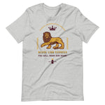 Load image into Gallery viewer, Vintage Varsity  T-Shirt - BlvckLionExpress
